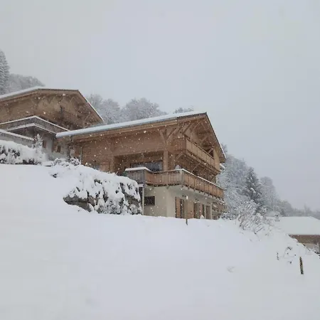 Le Chalet Vue Mont-blanc *
